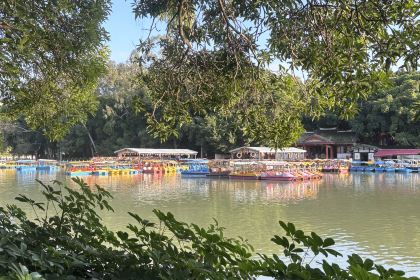 唐沫茶兮(东街盛裕店)