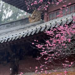 三木與食(国清店) User Photo