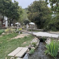 hill side User Photo