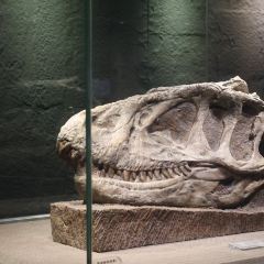 电子厂餐馆 여행 사진