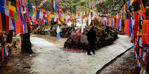 達摩寺