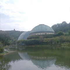 小隱圍屋張用戶圖片