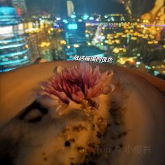 Blue whisky&cocktail User Photo