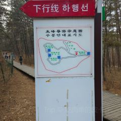 无桥洞海鲜烧烤(总店) User Photo