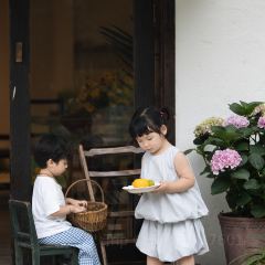 hill side 여행 사진