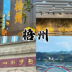 GUICAI YUEBEI RESTAURANT User Photo