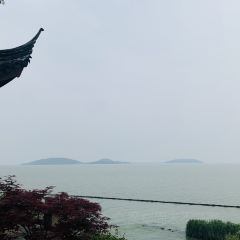 無錫魯能萬豪飯店·萬豪中餐廳張用戶圖片