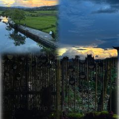 Yingxiangyuan Restaurant 여행 사진