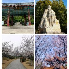 青年路·羊肉館張用戶圖片