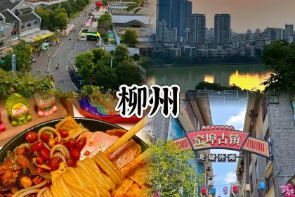 璋园炊饭(岩屿路店)