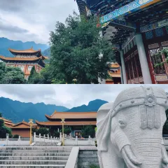 老字号老南门阿旺婆·养生烧仙草 User Photo