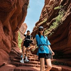 ZHENG XI WANG User Photo