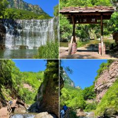 桃花嫂子 User Photo