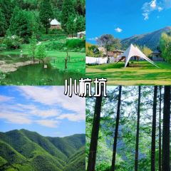 老太婆干挑面(苕溪路店) User Photo