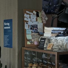 Having Moment User Photo