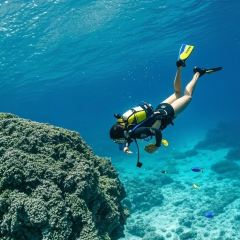 SURF GRAVITY User Photo