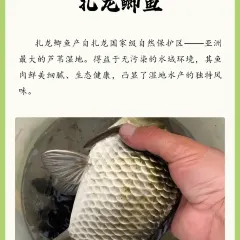 绿色干豆角家常菜 여행 사진