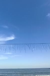 beifangzhichun 澳門巴黎人優惠