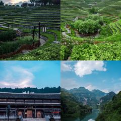 林記豆湯圓子火鍋用戶圖片