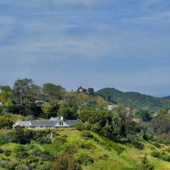 Din Tai Fung User Photo