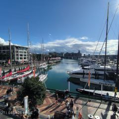 Harbourside Ocean Bar Grill User Photo