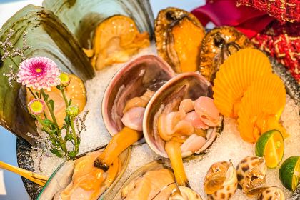 臻紮實·海鮮火鍋·懷舊粵菜