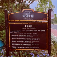 麥當勞（香河萬科店）張用戶圖片