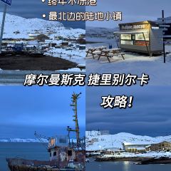 McDonald's 여행 사진