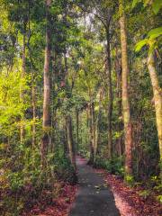 Wooroonooran National Park