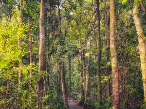 Wooroonooran National Park