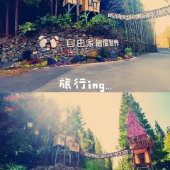齐云山度假酒店· 祥瑞轩餐厅 User Photo