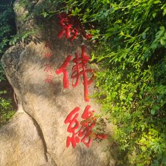 清真老郑家 User Photo