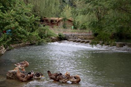小苗鹊咖啡(梵净山店)
