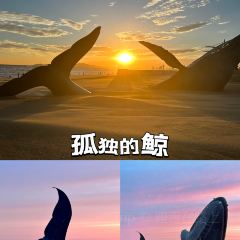 LANG COFFEE User Photo