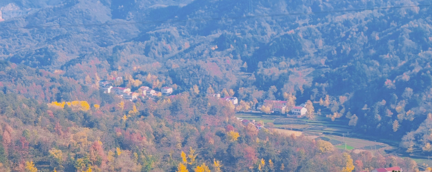 Xiaogan Shuangfeng Mountain Tourist Resort