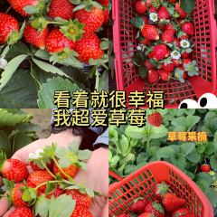 万兴味食(河南市场分店) User Photo