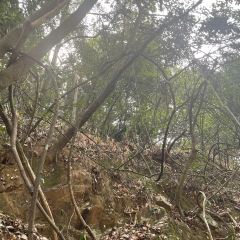 丫山农家乐 User Photo