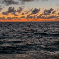The Cracked Conch by the Sea User Photo