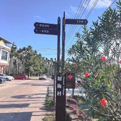 和梅水塔咖啡店 User Photo