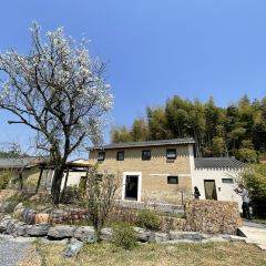 Sanshi Restaurant User Photo