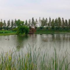 wuhu suning universal hotel User Photo