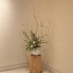 SILEX Restaurant User Photo