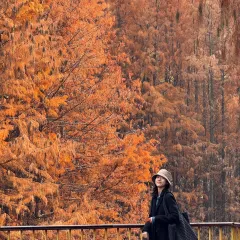 胡记包子 User Photo