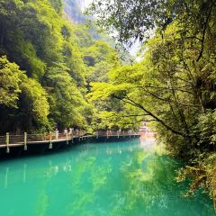 SHUAI BA REN User Photo