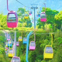 申记臭豆腐煮鱼(五一步行街店) User Photo