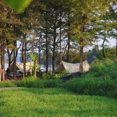 树蛙部落(仙女湖店)·餐厅 User Photo