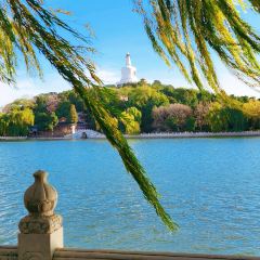 鲜粉之家(中山路店) User Photo