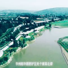 Cai Feng Lou Chinese Restaurant User Photo