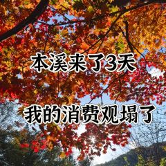 Number One User Photo