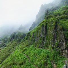 Zhan yi gong shi la zi Chicken (zhan yi) User Photo